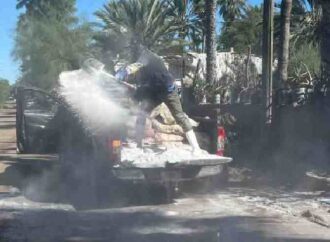 Llevan acciones contra el Dengue a la costa