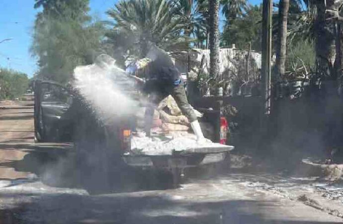 Llevan acciones contra el Dengue a la costa