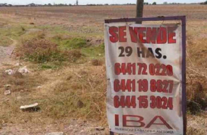 Falta de empleo y crisis en el campo empujan a familias de Pueblo Yaqui a emigrar
