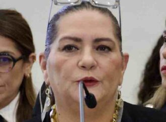 Renuncia Guadalupe Taddei al INE