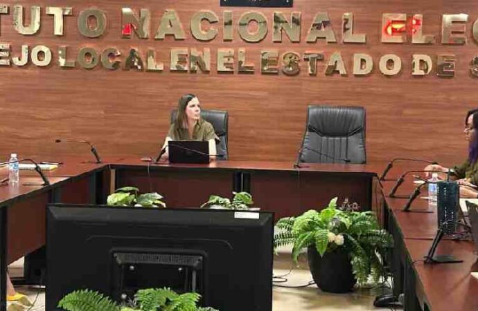 Convocan a participar como observadores electorales