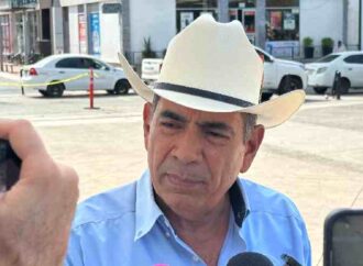 Comenzarán con la exportación de ganado por Nogales