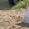En Sonora, muestreos de tierra contaminada en el Río Sonora registran 50 por ciento de avance