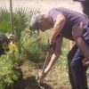 Realizan jornada de reforestación en Molino de Camou