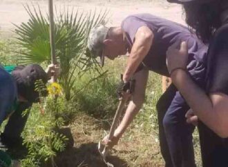 Realizan jornada de reforestación en Molino de Camou