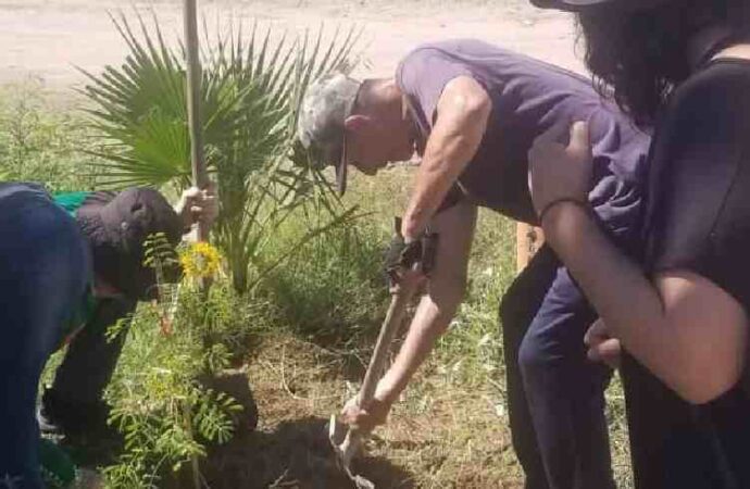 Realizan jornada de reforestación en Molino de Camou