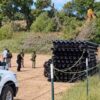 Derriban a La Abuela, un álamo de 200 años por construcción de muro fronterizo