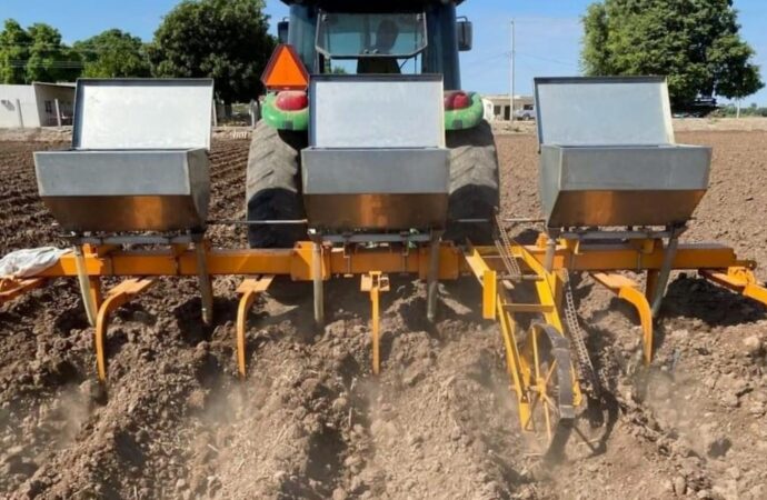 Hay agua para sembrar el Valle del Yaqui, pero productores enfrentan incertidumbre