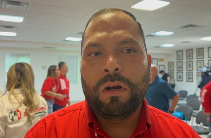 Solicitarán al INE remover a todos los consejeros del IEE