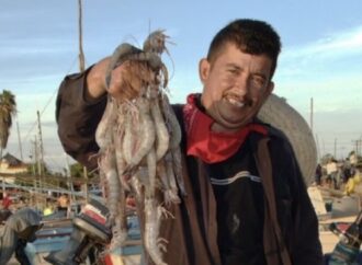 Arranca pesca de camarón en Sonora