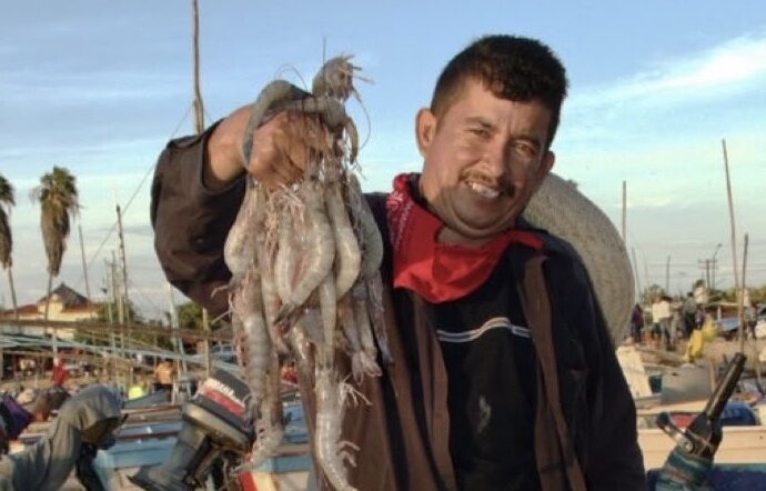 Arranca pesca de camarón en Sonora